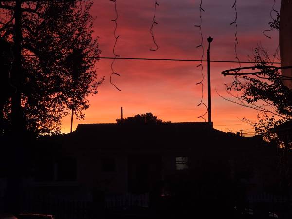 LEMONS & YORKSHIRES 1