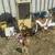 HELP!! Liquidating all contents of my 40-foot Shipping Container ASAP 1 thumbnail