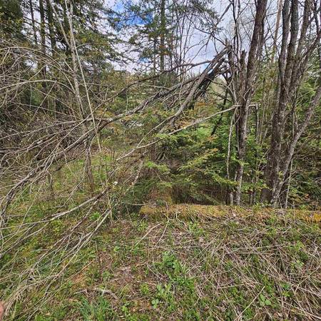 $74,900 36 acres of woods for your recreation needs (Sutton)63992934434307123