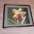 Orchid Flower Picture With Aaron Brothers Glass Frame 2 thumbnail