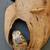 Hoot Owl Tree Carvings 9 thumbnail