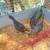 Moutian quail trio 7 thumbnail