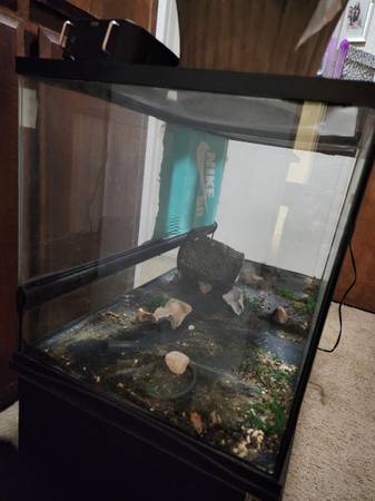 Free 40gallon terrarium 1
