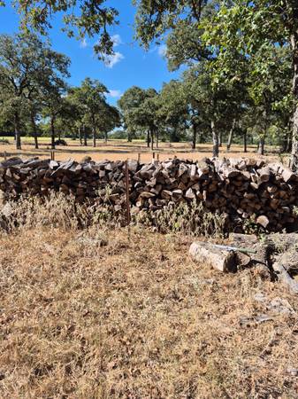 Fire wood 1