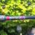 fishing rod for sale 2 thumbnail