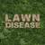 AFFORDABLE SOLUTIONS LAWN TREATMENTS AND HOME PEST&TERMITE $20 OFF 18 thumbnail