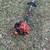 *****echo srm225 gas trimmer***straight shaft 2 thumbnail