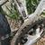 Haro Extreme Mountain Bike 11 thumbnail