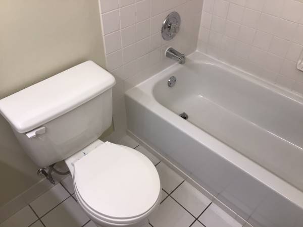 $1,393 / 600ft2 - 4 Four Lakes Village Resort Condo. Washer & Dryer in unit. Lisle IL. (Lisle/Naperville)63960011453955124