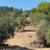 7175 Redwood Retreat Road. 35 Acres Gilroy, dwellings, water system, 6 thumbnail