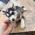 Husky puppies rehoming 11 thumbnail