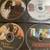 DVDs 2 thumbnail