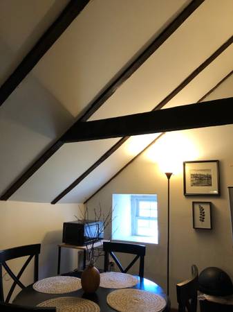$975 / 1br - Upscale Loft Apartment One Bedroom in Historic Home All inclusive (Alexandria)63836542276355123