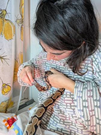 Reptile / snake care 1