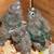 Turquoise conure babies 1 thumbnail