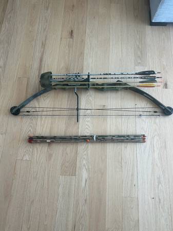 BEAR Whitetail 2 Compound Bow and Arrows 1