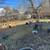 E&M LANDSCAPING LLC 3 thumbnail