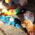 Original Mint Condition Beanie Babies 22 thumbnail