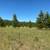 Raw land. 35 acres 3 thumbnail