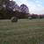 Hay for sale 6 thumbnail
