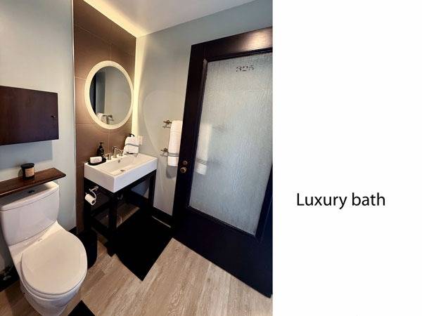 $2,595 / 496ft2 - San Jose Studio apt, Light & bright, LUX kitchen, W/D inside, SAVINGS! (san jose downtown)63664185741185124