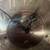 >>>Howard Miller grandfather clocks (from bankruptcy)!! 4 thumbnail