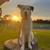 Mayley Sassy The great pyreness and husky mix 10 thumbnail