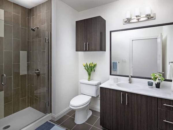 $3,009 / 1br - 861ft2 - Garden Courtyard view, Soaking tub, Stainless steel appliances (Waltham)63824666686083123