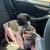 Pug 2 thumbnail