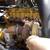 2005 Sterling LT8500 T/A Fuel & Lube Truck 12 thumbnail