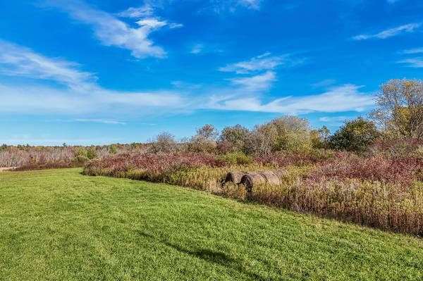 13.93 Acres – Open Land on Crommie Rd Carlisle NY – $49,900 1
