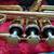 Used Yamaha tr 2321 trumpet 9 thumbnail