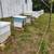 Land needed for beekeeping honey production 2 thumbnail