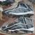 UNDER ARMOUR -  MEN'S  FOOTBALL SHOES  very large size never used 5 thumbnail