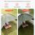 Tent for back of Suv, truck, van,camper,etc. 4 thumbnail