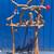 Macaw parrot perch - custom made ! A great socializer for mr Birdee !! 1 thumbnail