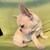Frenchie pup 2 thumbnail