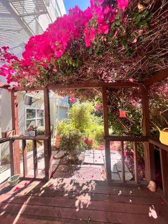 $1,925 / 1br - 1000ft2 - Move-In Special! $1,500 Off 2nd Month | Studio & 1BR in Alameda! (alameda)64000754367745121