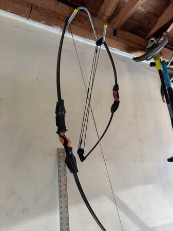 Compound bow with arrows 1