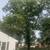 3 bedroom House walk to Rose-Hulman 4 thumbnail