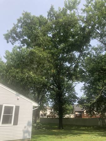$1,620 / 3br - 1647ft2 - 3 bedroom House walk to Rose-Hulman (Terre Haute)63675880660611123