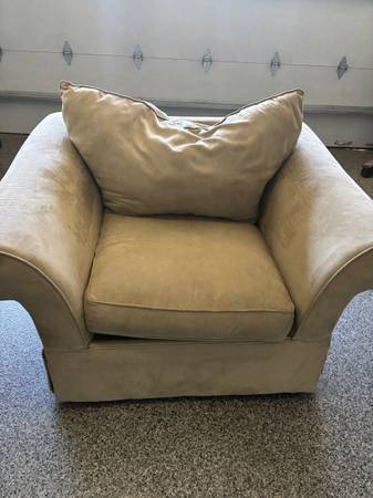Beige “best used for a dog”Armchair 1