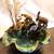 Vintage Glazed Majolica Elephant Centerpiece Bowl or Water Fountain 10 thumbnail