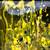 Beautiful Art - Pollock style oil painting 5 thumbnail