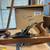 Vintage Bailey Transitional Woodworking Hand Plane 1 thumbnail