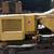 Vemeer T800B Trencher with new carbide teeth,, just lowered $17,500 5 thumbnail
