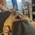 Male Sphynx Kitten 1 thumbnail