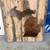 Signs for outdoor, man caves, basements, etc 1 thumbnail