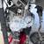 HONEST AUTO MECHANIC DON'T WASTE YOUR MONEY!!! CALL ME FOR BEST PRICE! 8 thumbnail