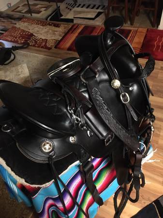 Tucker Trail Saddle 1